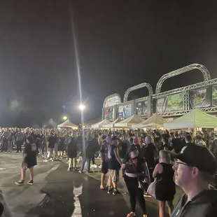 a large crowd of people at night