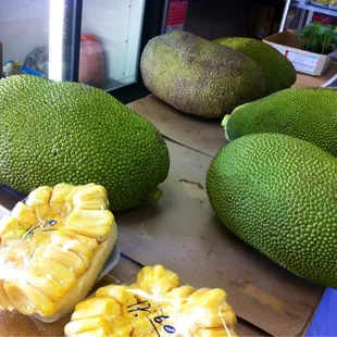 Jackfruit