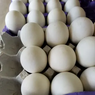 Balut