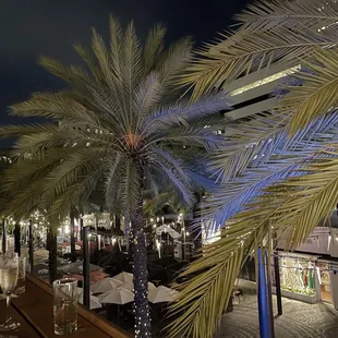 Great views of Giralda Plaza