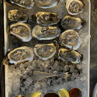 Oysters!