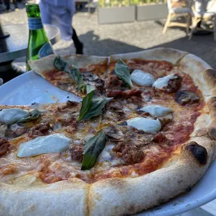 Vegan pizza was great