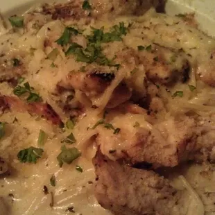 Chicken Alfredo.