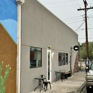 the side of a building with a cactus painted on it