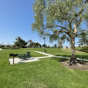The field by the playgrounds.