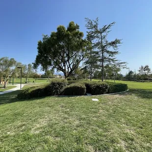 An island of plants between the playground and field.