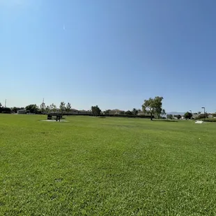 The field at the higher ground.