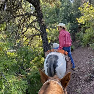 Giving us the lay of the land