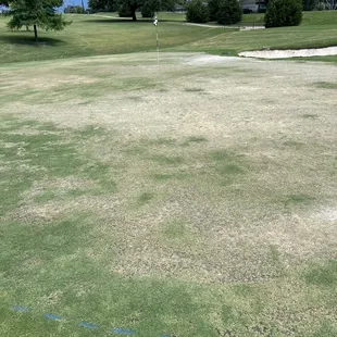 One of the "better" greens