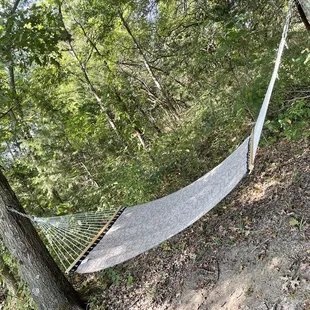 Several hammocks around the property