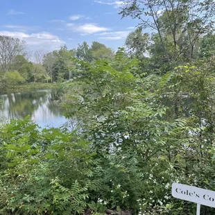 @ 3 miles of trails with benches, seating and hammocks around many ponds