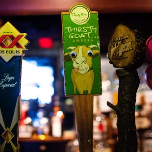 Local Craft Beers on Draft