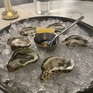 Oysters