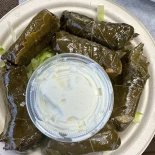 Veggies Stuffed Grape Leaves