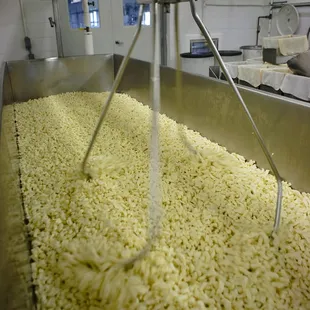 Fresh Fresh Fresh Cheddar Curds.
