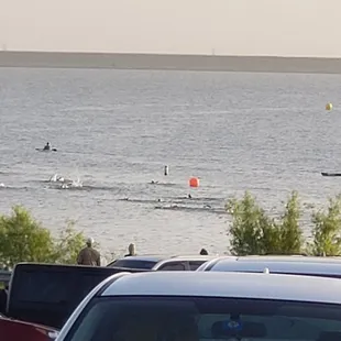 Open Water Swim Challenge and Aquathlon