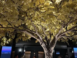 The Cottonwood Room