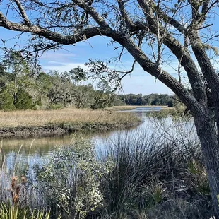 Beautiful marsh views from well maintained trails
