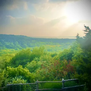 This is the walking trail that leads to the pond