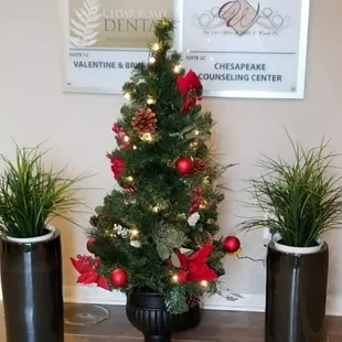 Cedar Road Dental Lobby