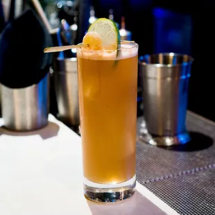 The Shanghai Bastard. Rum, pisco, lime, honey, ginger, bitters, soda.