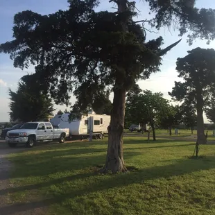 Pretty green grass and trees