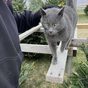 The manager..... "Smokey"!