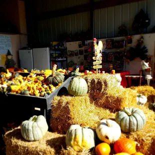 a display of pumpkins and gourds
