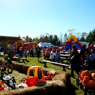 a hay bale filled with pumpkins