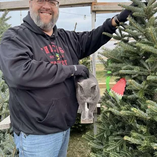 Smokey recommended this tree very highly!