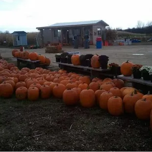 Concessions available