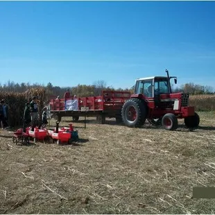 We have FREE wagon rides out to the fields to find your perfect pumpkin!