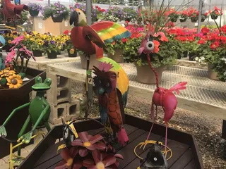 Pat's County Line Market