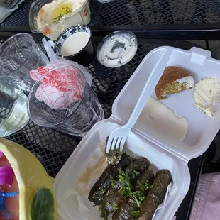 Vegetarian grape leaves, hummus, and falafel