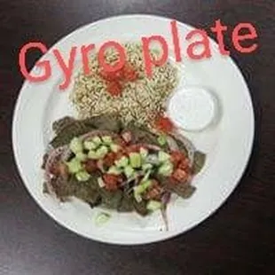Gyro Plate