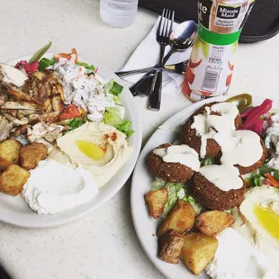 Two plates of delicious goodness: chicken shawarma and made to order falafel.
