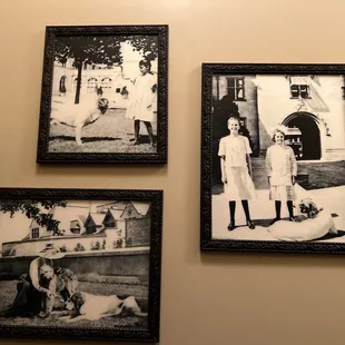 a woman and two dogs