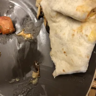 Cockroach in food