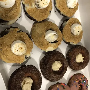 Celebrate Nutrition protein donuts!