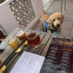 Dog friendly outdoor patio seating!