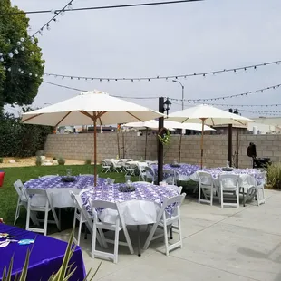 Umbrellas and padded chairs