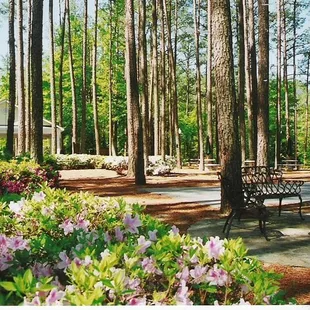 The Gardens, a Reception Site at Celebrations