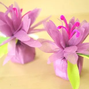 Free weekly project sheets and demos (Sun and Sat at 1pm) at the store. Sheets available: www.reasontocelebrate.com