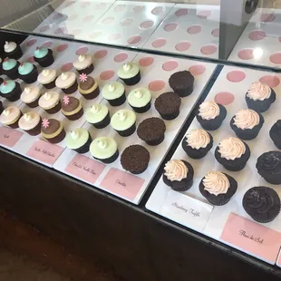 Cupcakes galore!