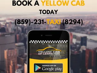 Yellow Cab Lexington