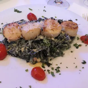 Seared scallops with squid ink fettuccini