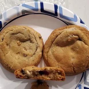 Two fresh chocolate chip cookies