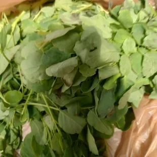 Aprovechen a la temporada del papalo ya mero termina gracias por comprar con nosotros