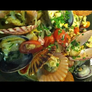 Scallops