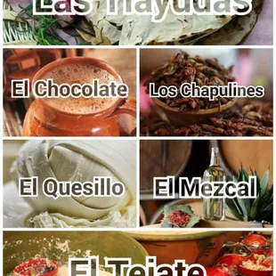 MANJARES DE LA GASTRONOMÍA OAXAQUEÑA